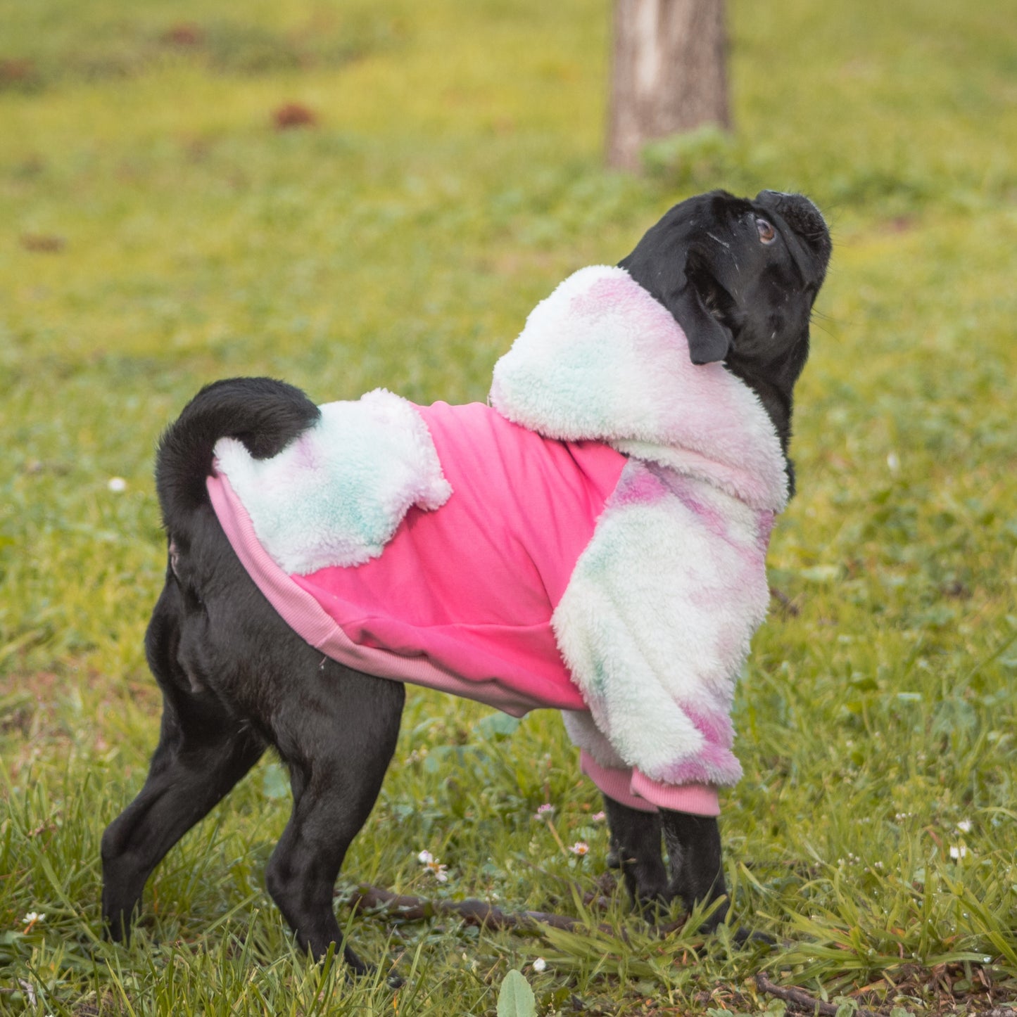 Polerón Rainbow Pinki Pie