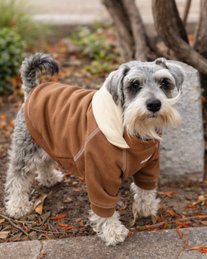 Polerones para perros