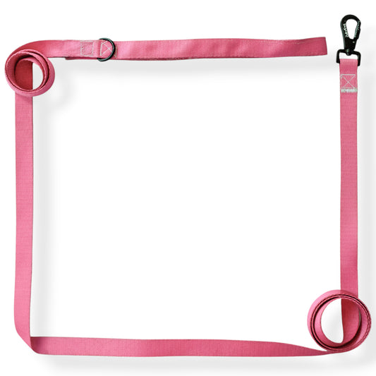 Correa de paseo larga de 3 metros (color a elección)