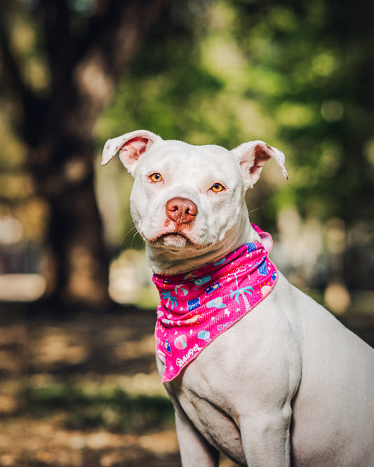 Bandana refrescante UV 50+ Beach adventure