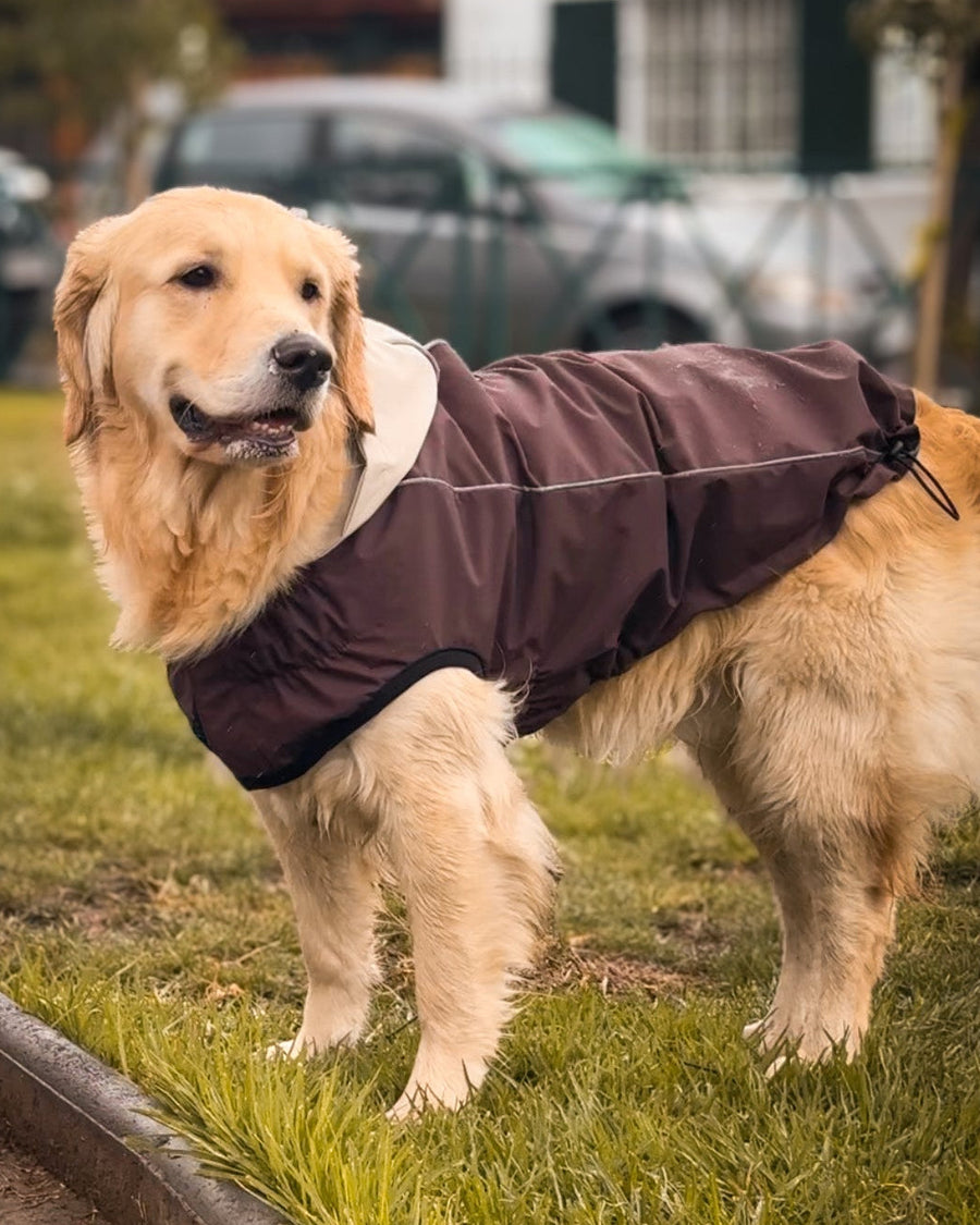 Impermeables para perros