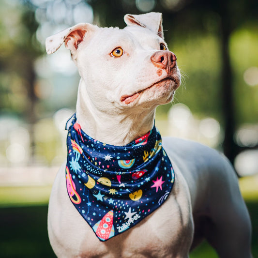 Bandana refrescante UV 50+ cosmic canvas