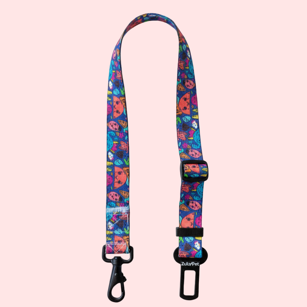 Cinturón de seguridad playfull chaos