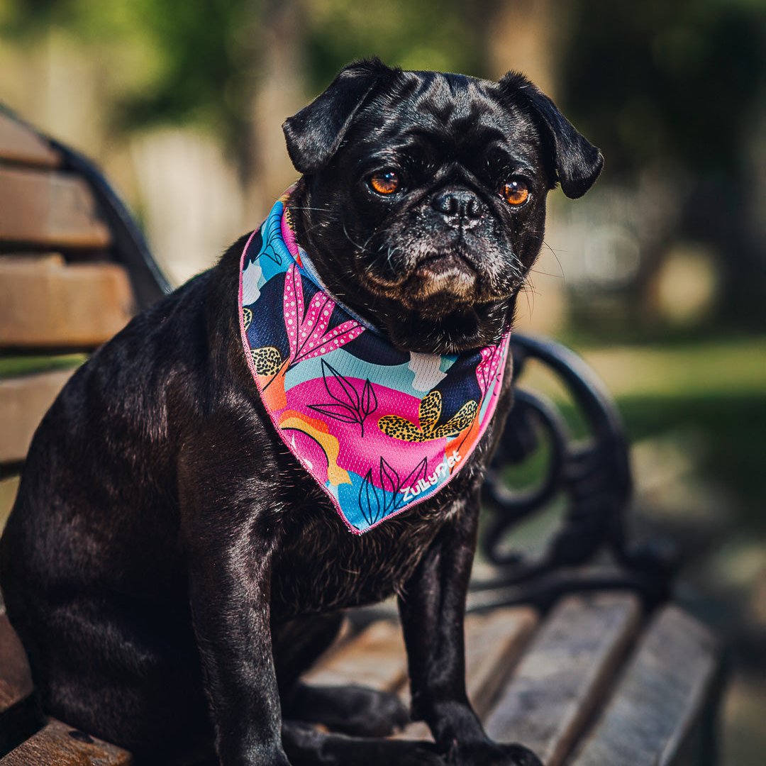 Bandana refrescante UV 50+ tropical neon