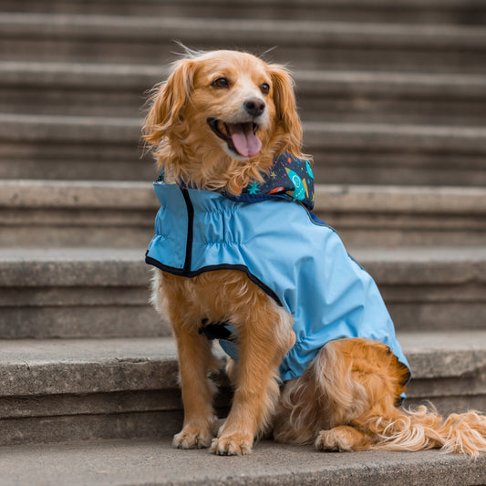 Impermeable RAINPROOF celeste/azul