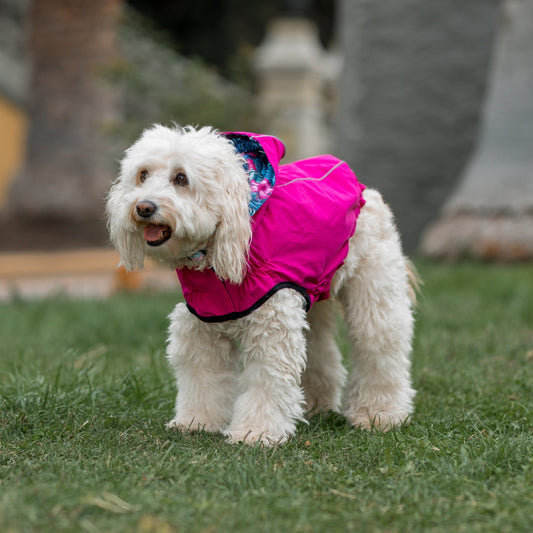 Impermeable RAINPROOF fucsia