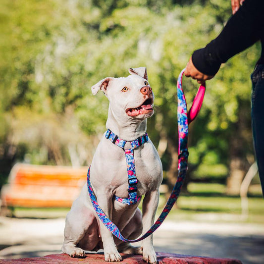 Arnés en H modelo floral flutter