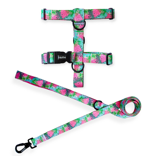 Correa de paseo diseño island infusion
