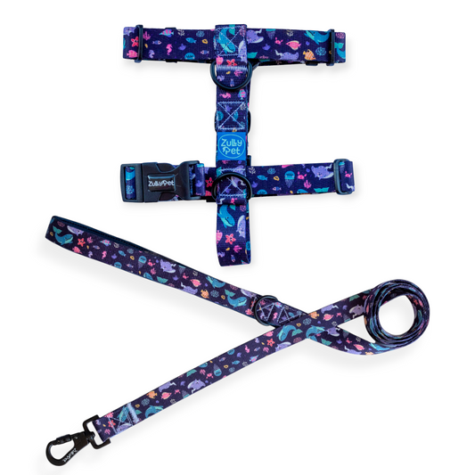 Correa de paseo diseño marine magic