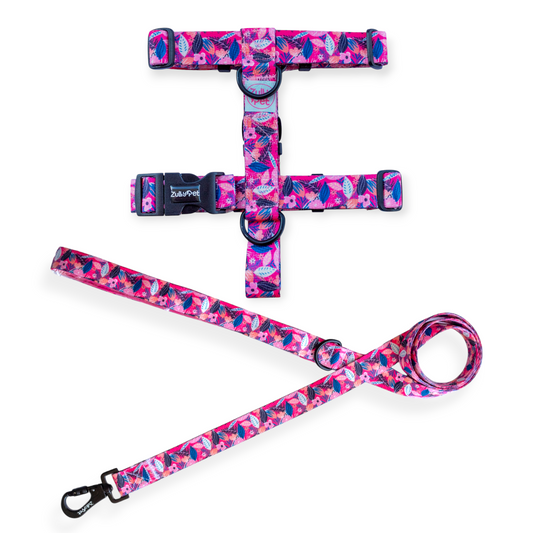 Correa de paseo diseño pink nature