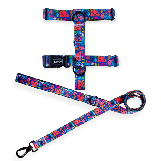 Correa de paseo diseño playfull chaos