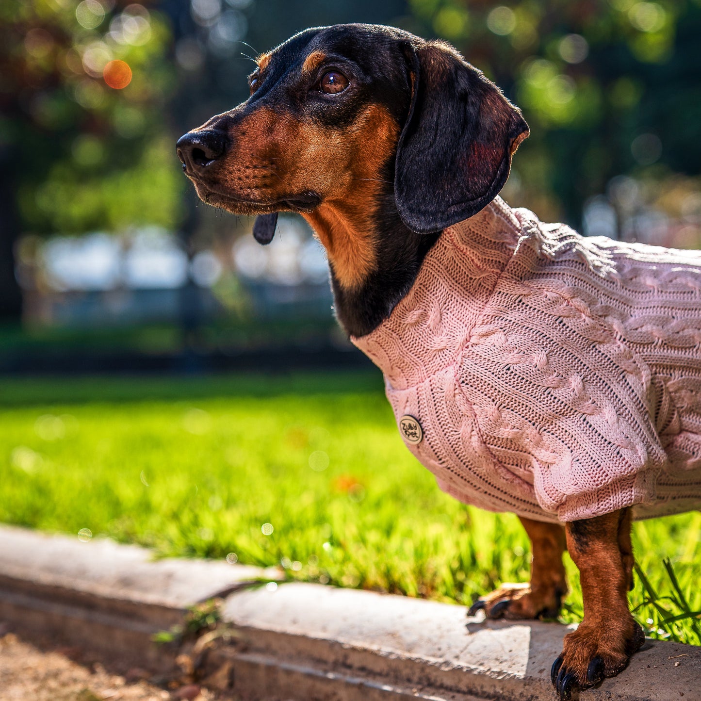 Sweater palo rosa