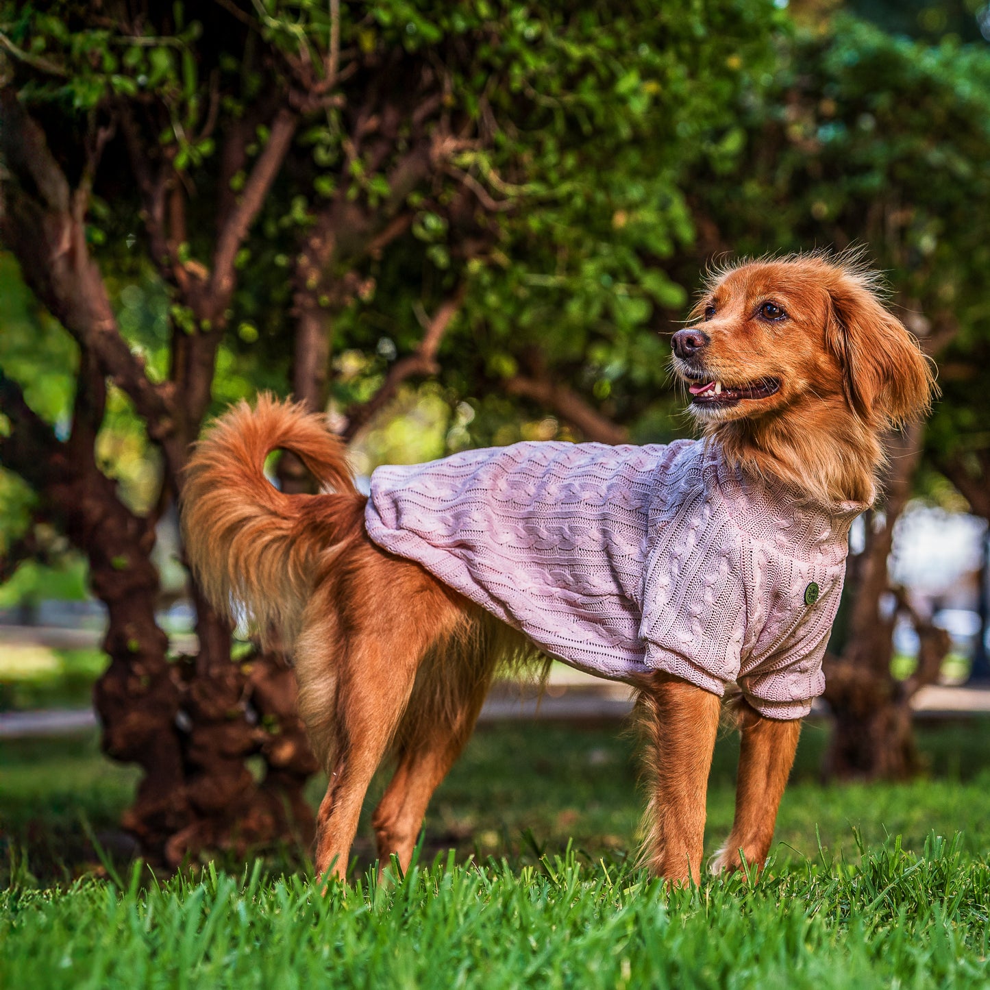 Sweater palo rosa