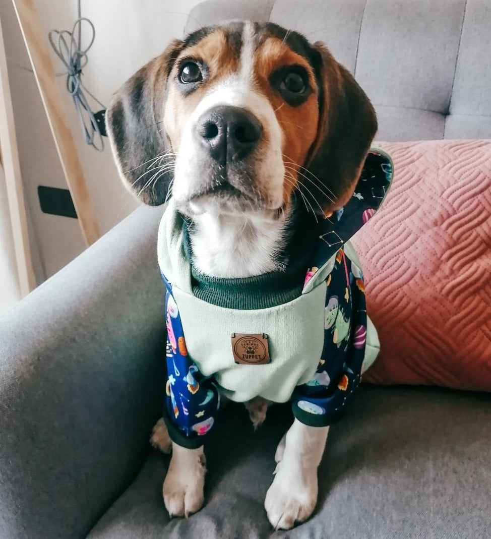 Hoodie astrodino - Zuppet Chile SpA