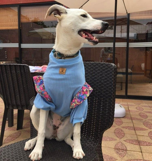 Polera algodón color celeste - Zuppet Chile SpA