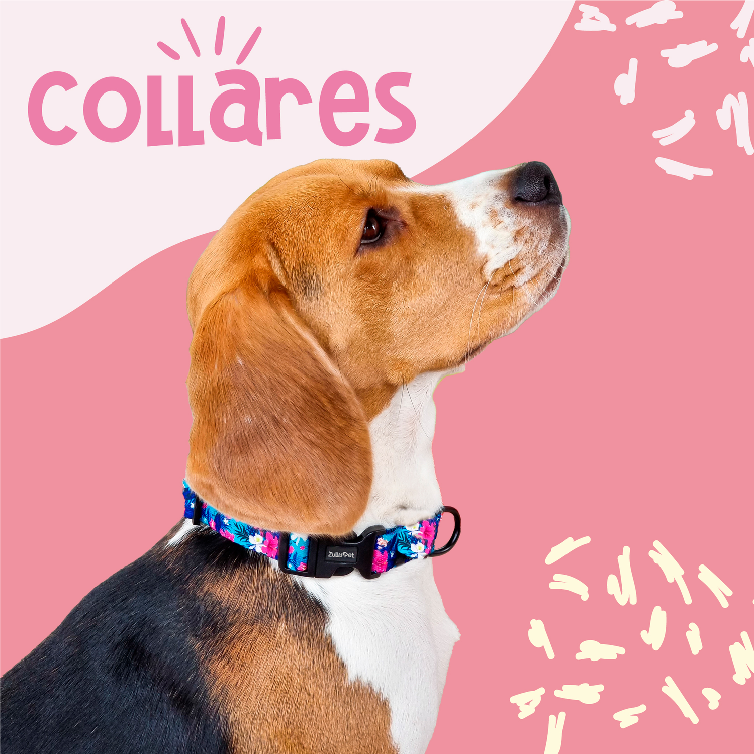 Collares
