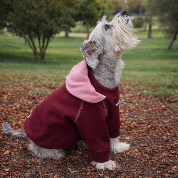 Polerón INSTINTO / Zullypet origen