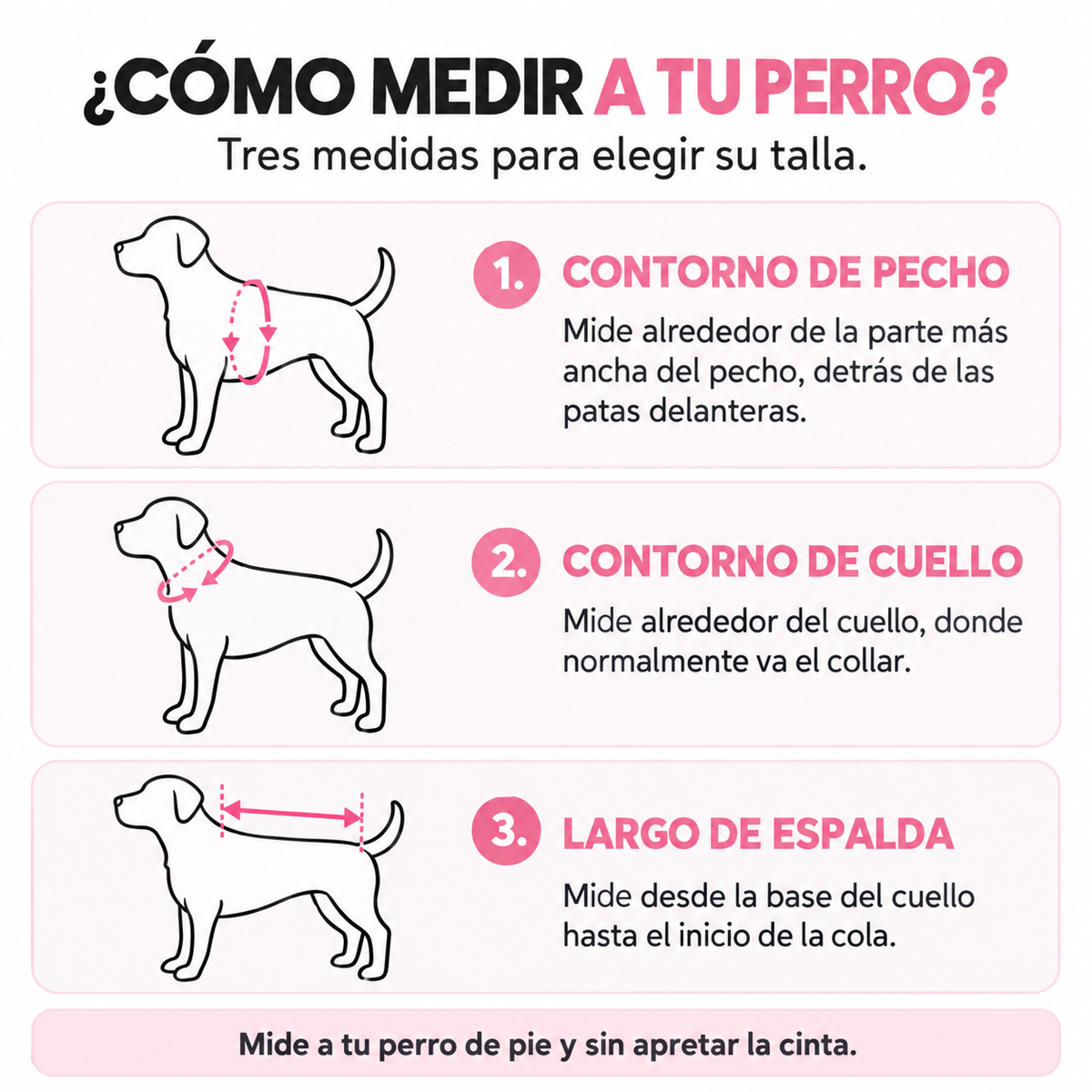Ilustración de cómo tomar las medidas del perro