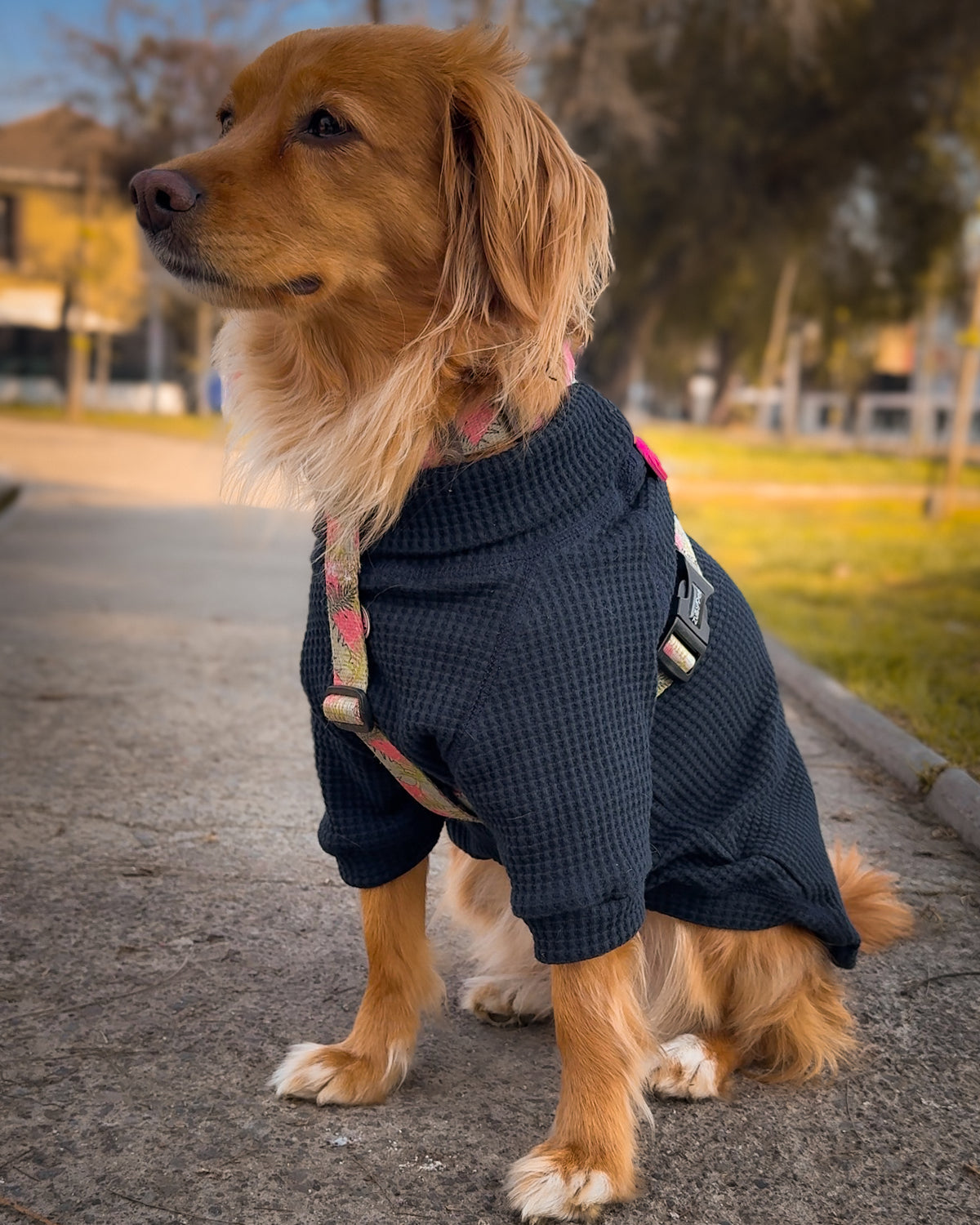 Sweater WAFFLE azul