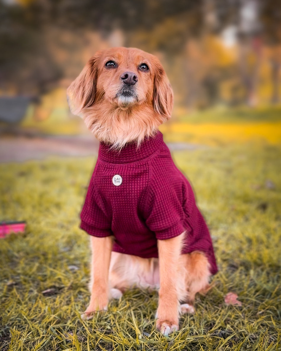 Sweater WAFFLE burdeo
