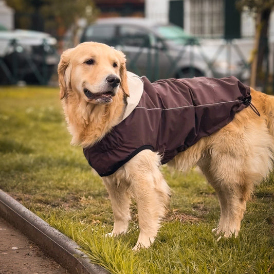 Impermeable RAINPROOF refugio (café chocolate/beige)