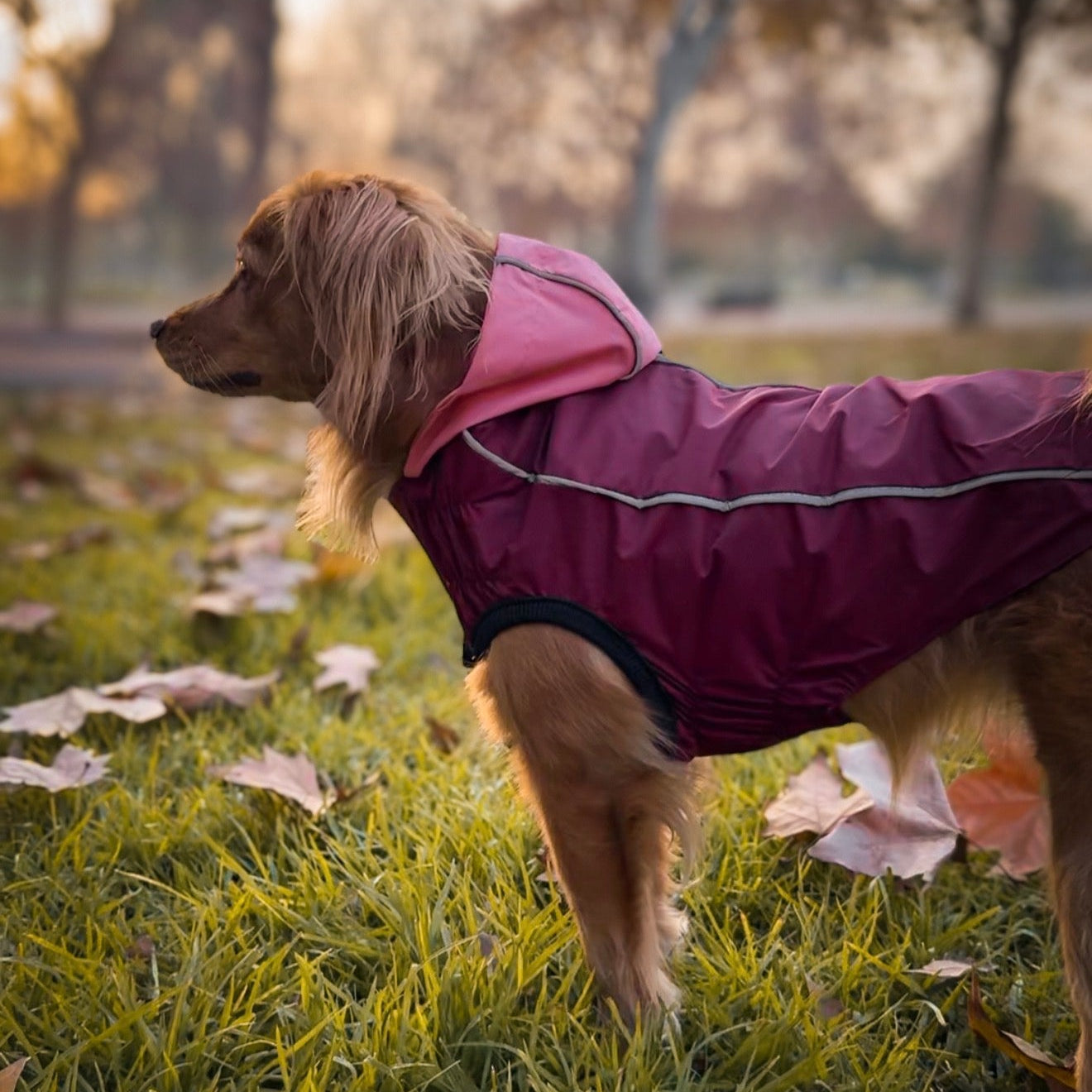 Impermeable RAINPROOF instinto (burdeo/rosa o beige)
