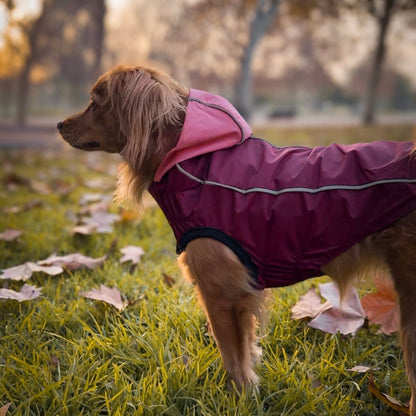 Impermeable RAINPROOF instinto (burdeo/rosa o beige)