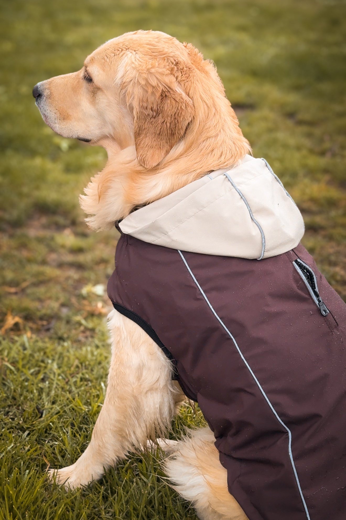 Impermeable RAINPROOF refugio (café chocolate/beige)