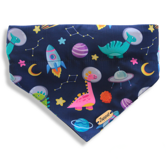 Bandana para mascotas astrodinos