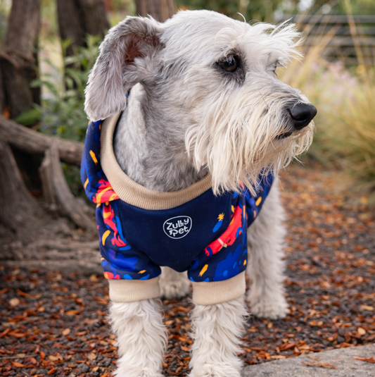 Polerón diseño Neón rush