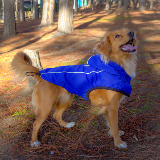 Impermeable RAINPROOF azul eléctrico