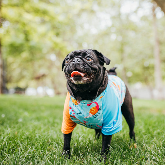 Polera Quickdry® UV50+ dino party parade