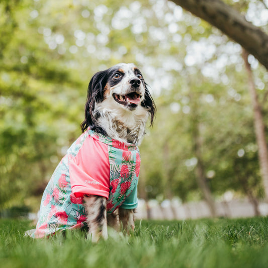 Polera Quickdry® UV 50+ Island infusion