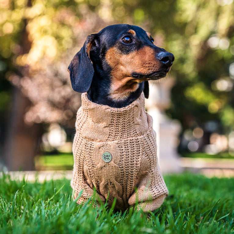Sweater camel