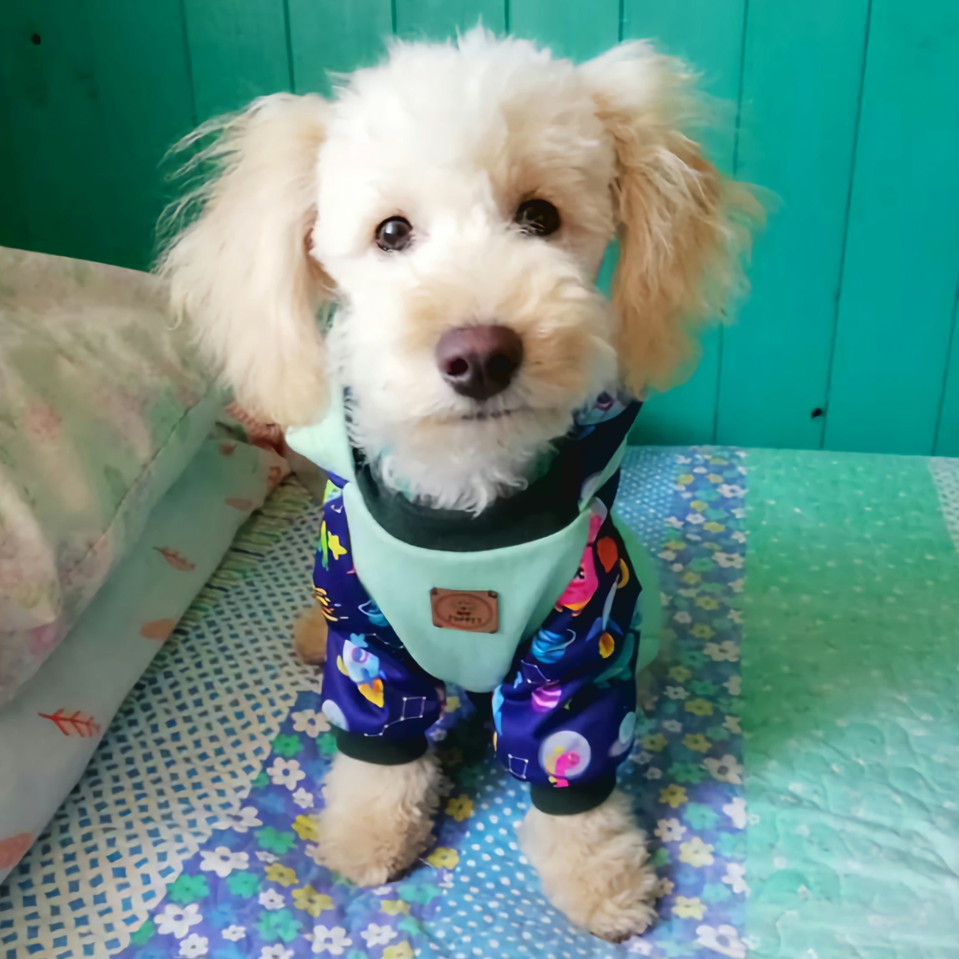Hoodie astrodino - Zuppet Chile SpA